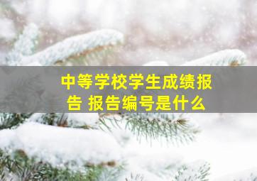 中等学校学生成绩报告 报告编号是什么